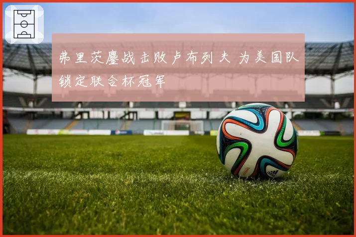 弗里茨鏖战击败卢布列夫 为美国队锁定联合杯冠军