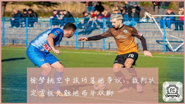 徐梦桃空中技巧落地争议，裁判认定雪板先触地而非双脚