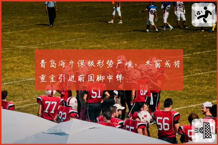 青岛海牛保级形势严峻,冬窗或将重金引进前国脚中锋