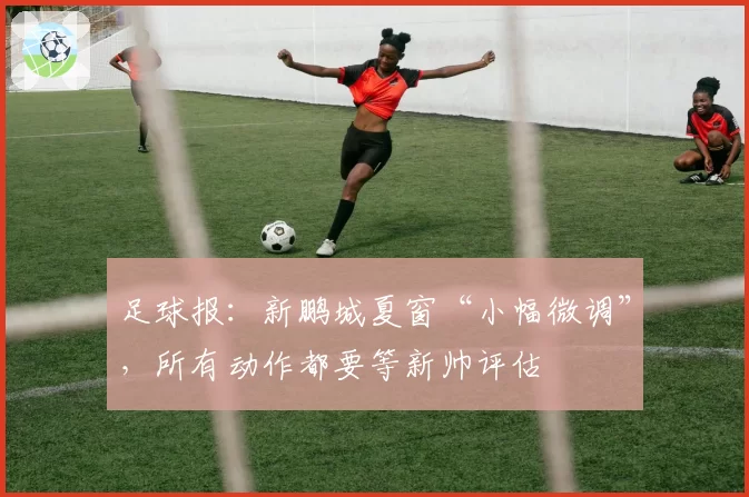 足球报:新鹏城夏窗“小幅微调”,所有动作都要等新帅评估