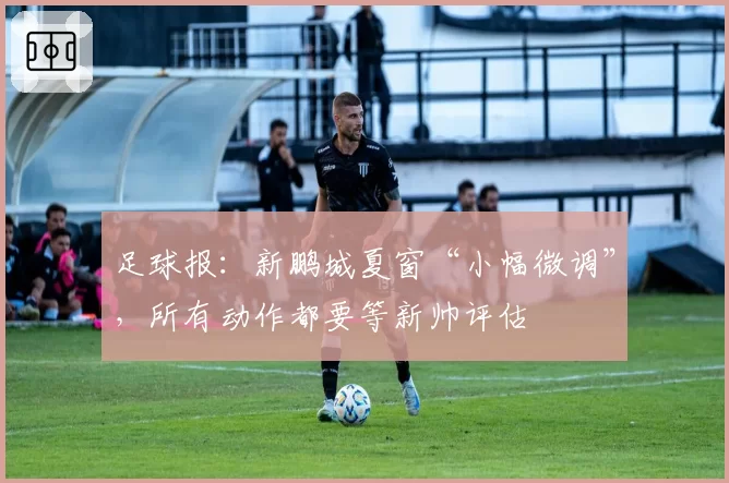 足球报:新鹏城夏窗“小幅微调”,所有动作都要等新帅评估